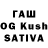 МЕФ VHQ Tauseefullah khan
