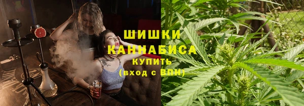 трава Белокуриха